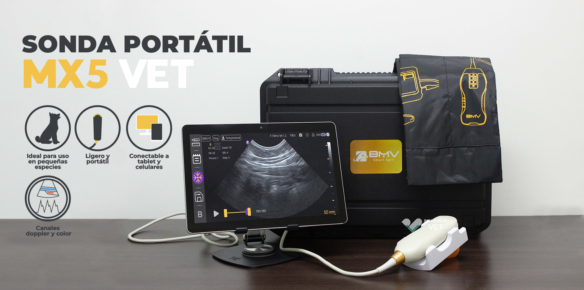 Banner ultrasonido MX5_Mesa de trabajo 1 (1)